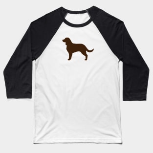 American Water Spaniel Silhouette Baseball T-Shirt